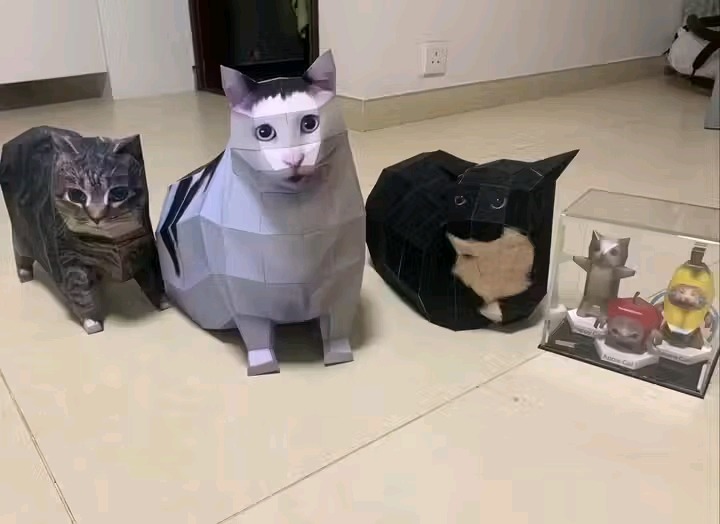Que bonita colección - meme