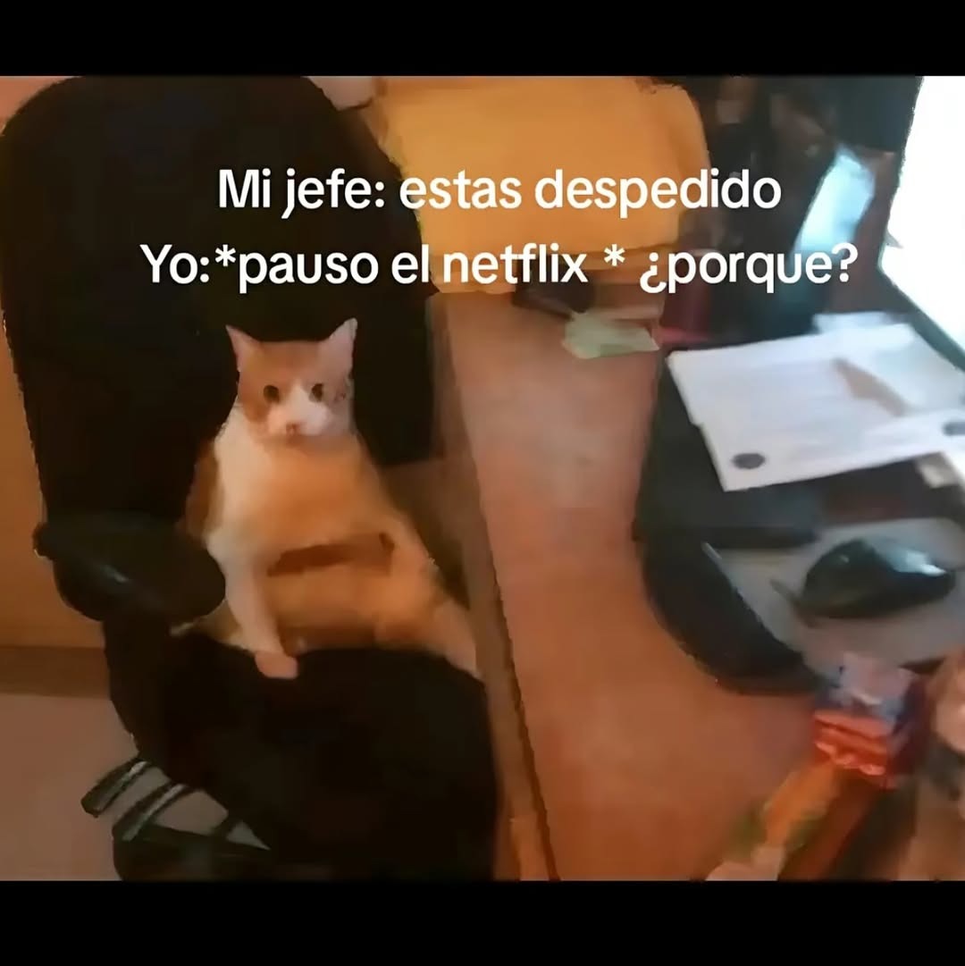 Mi jefe: estás despedido. Yo: *pausando el Netflix* ¿por? - meme
