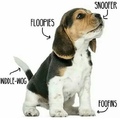 is doggo? or pupper?