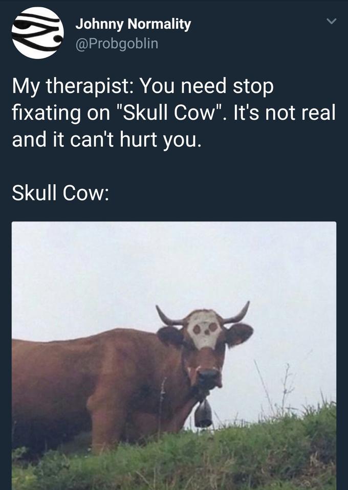 skull cow - meme