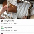 snake flute