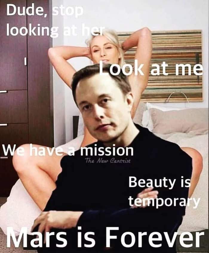 Elon - meme