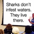 Sharks don't infest waters. They live there