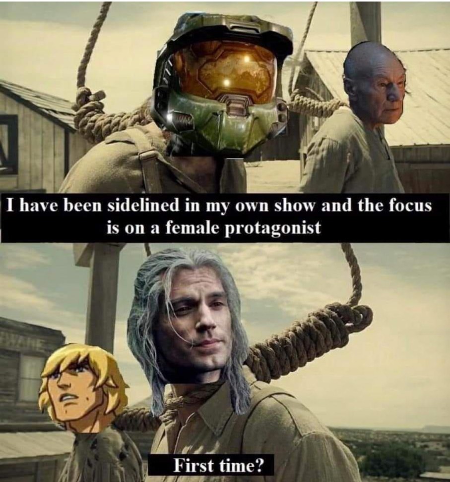 when they came for Witcher I said nothing. when they came for he-man I said nothing. when they came for my beloved halo I looked around and there was no one left to stand up with me - meme