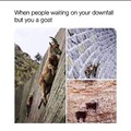You are the Goat kings!
