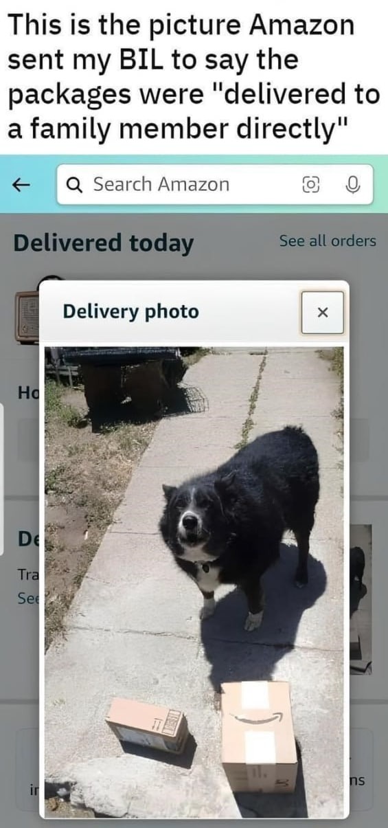 funny delivery and dog meme