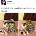 title loves cattos