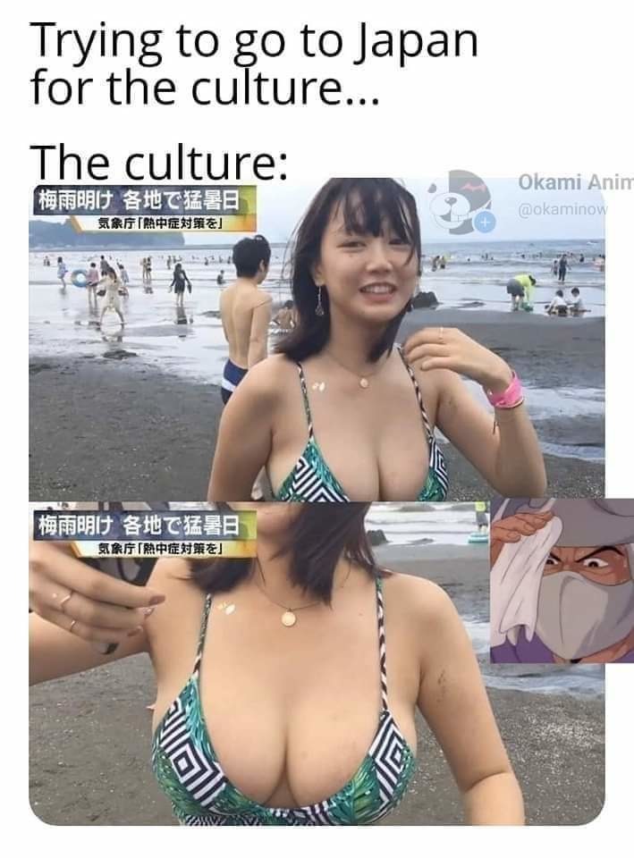 I like that culture - meme