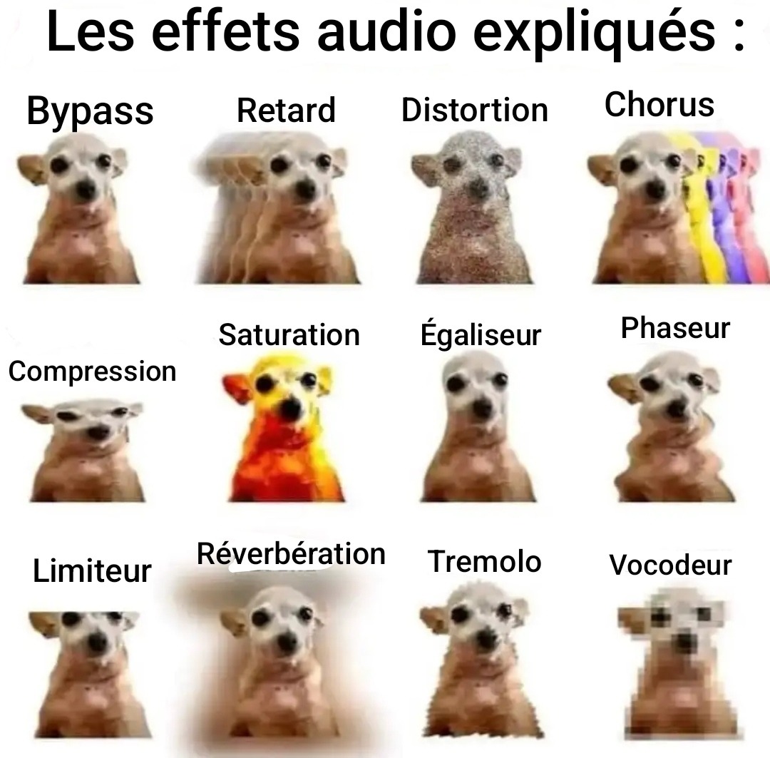 J'ai volé ce meme