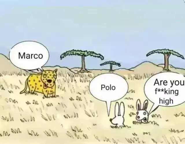 Marco Polo - meme