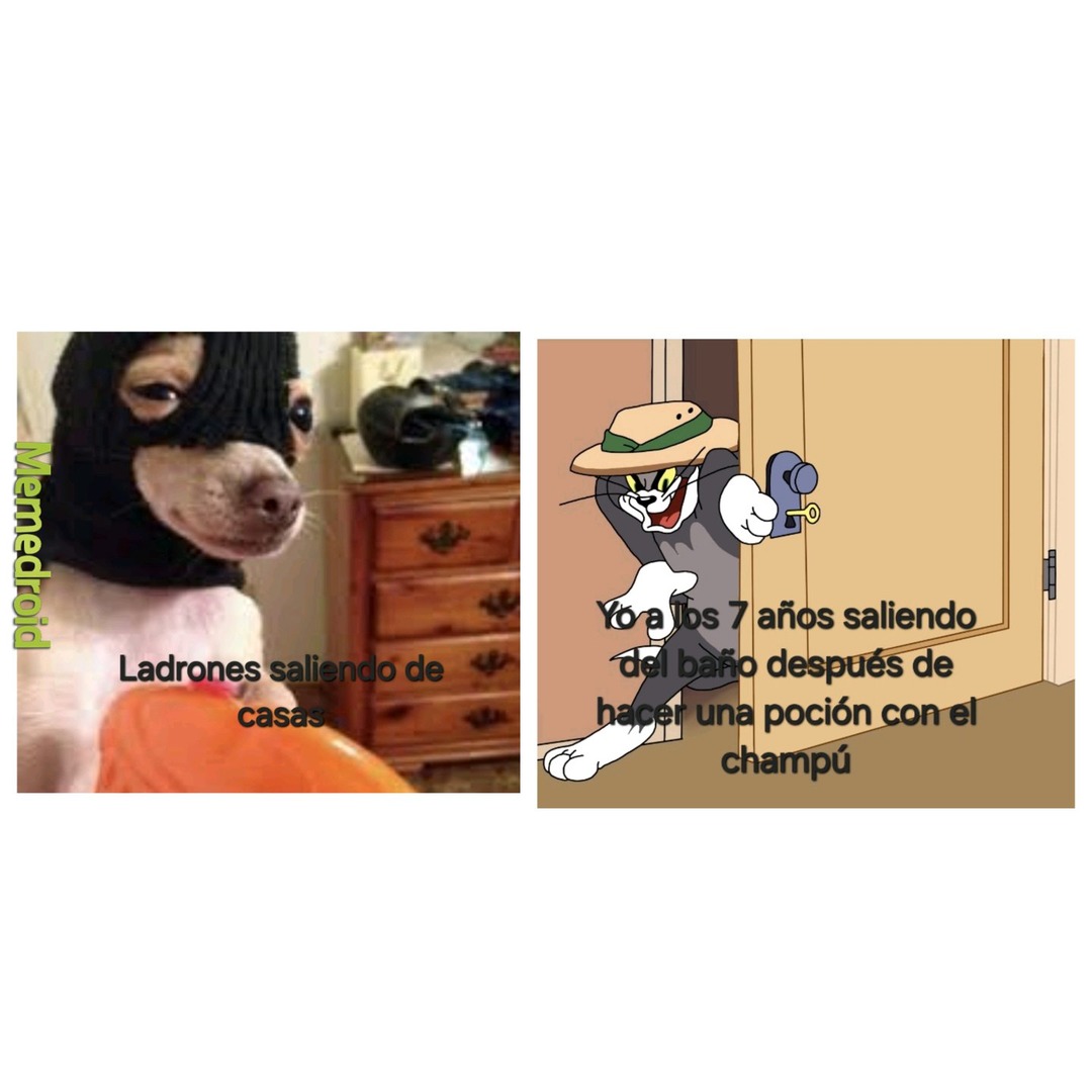 Creo que es obvia la respuesta - meme