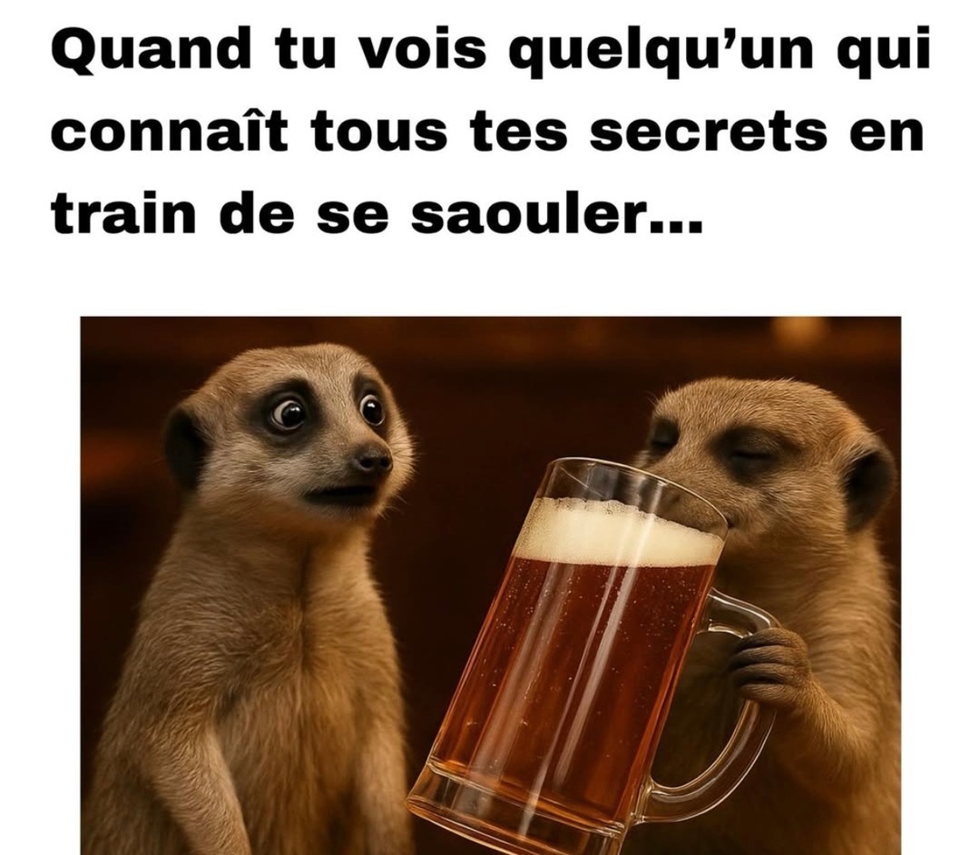 Quand la personne qui connaît tous tes secrets commence à boire - meme