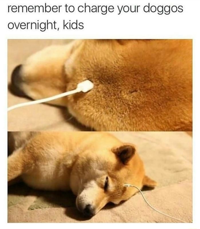 N oubliez pas de brancher votre chien la nuit les enfants - meme