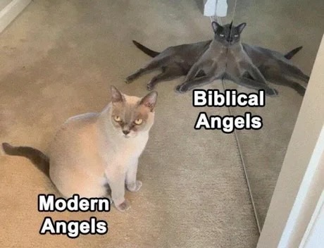 The angels - meme