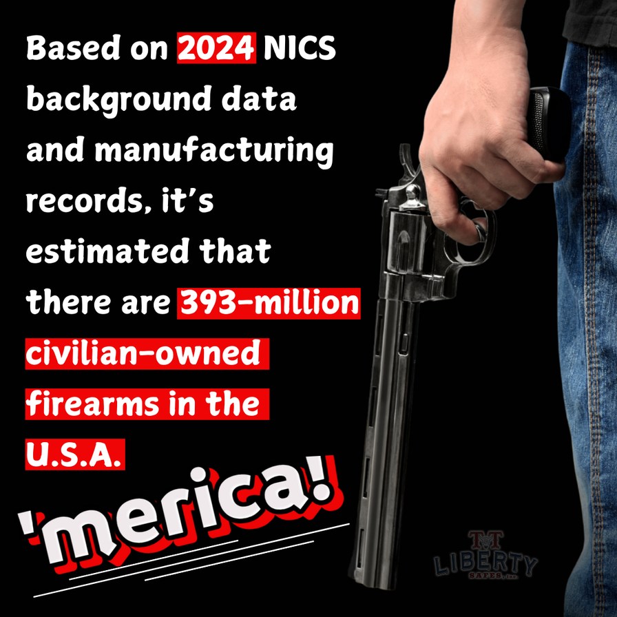 2nd Amendment - meme