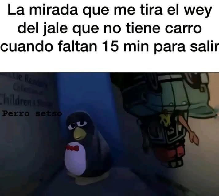 pinguino todo triste de toy story - meme