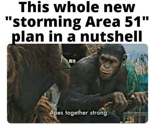 Storming area 51 in a nutshell - meme