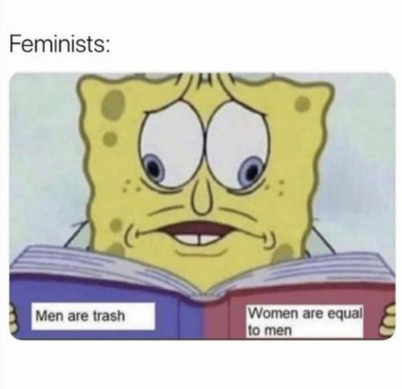 feminist - meme