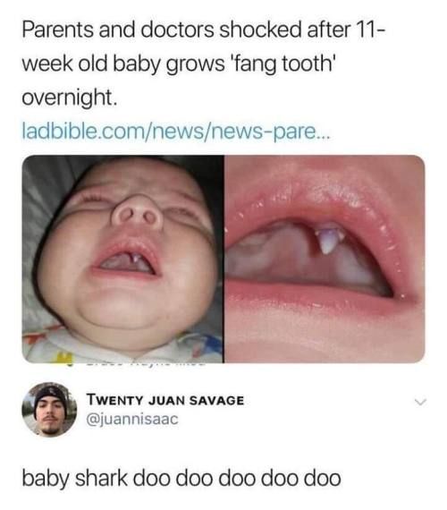 Baby shark doo doo doo doo - meme