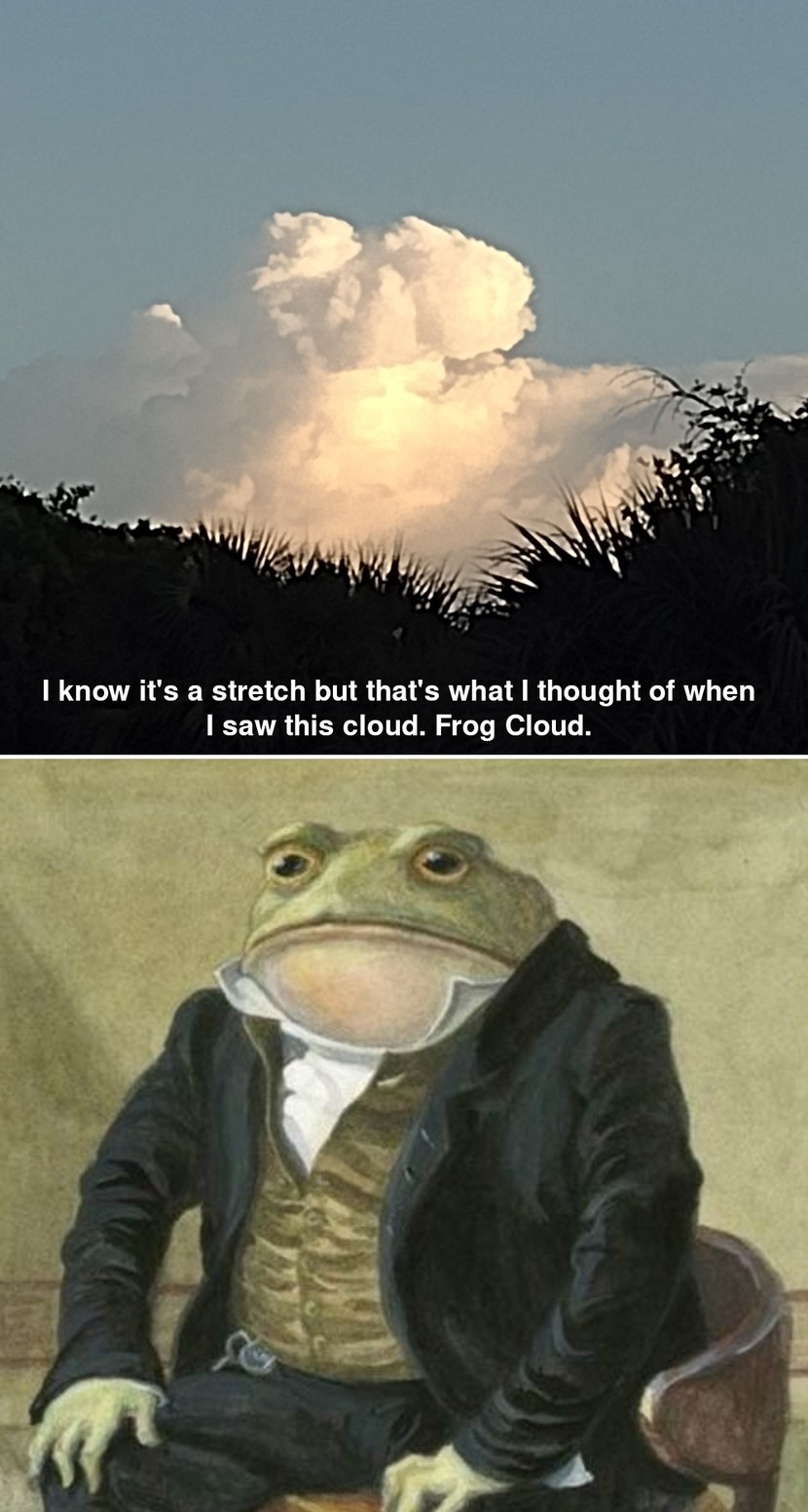 Frog Cloud - meme