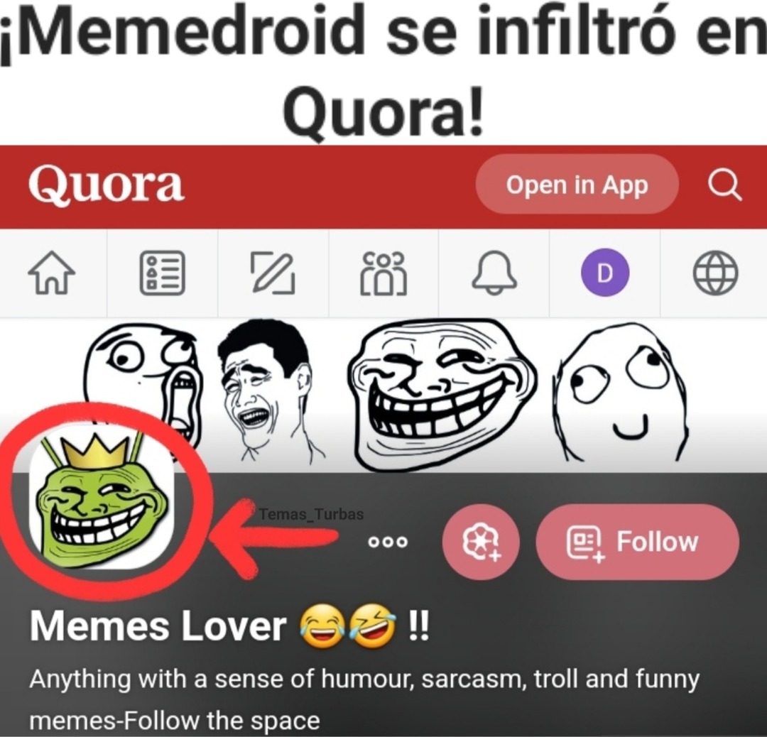¡Quora es la mejor web en español para hacer, responder, votar y comentar preguntas de forma rápida y sencilla! - meme