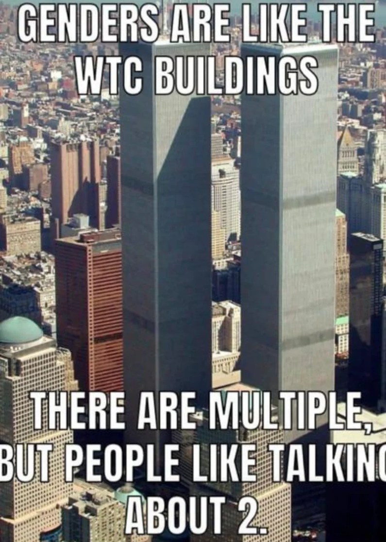 Only 2 towers, Only 2 genders - meme