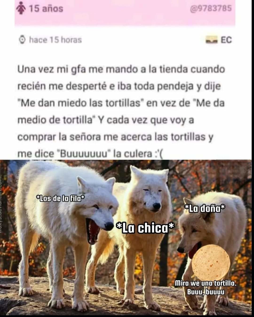 Jajaka - meme