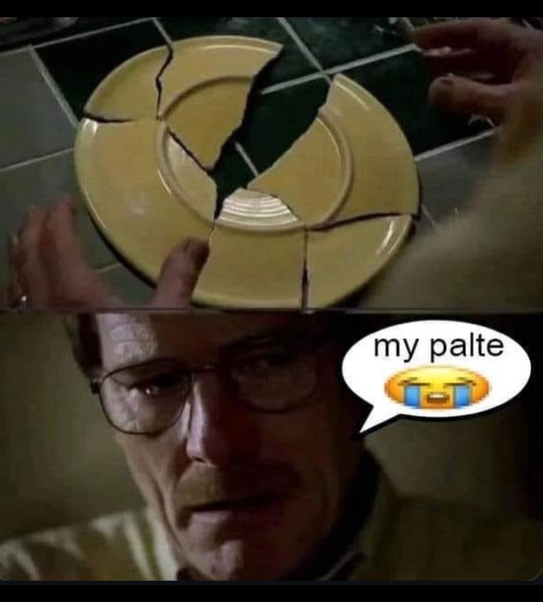 Poor Walt got his plate broken - meme