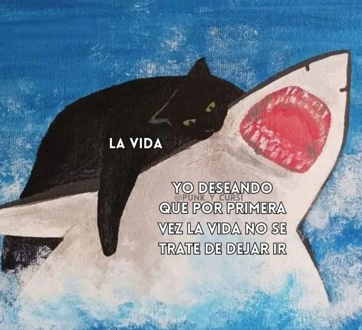 Deseando que, por una vez, la vida no sea solo dejar ir - meme