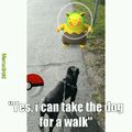 No more fighting about who takes a dog for a walk