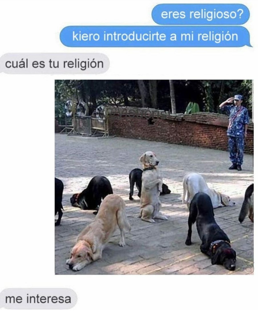 Las religiones - meme