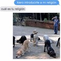 Las religiones