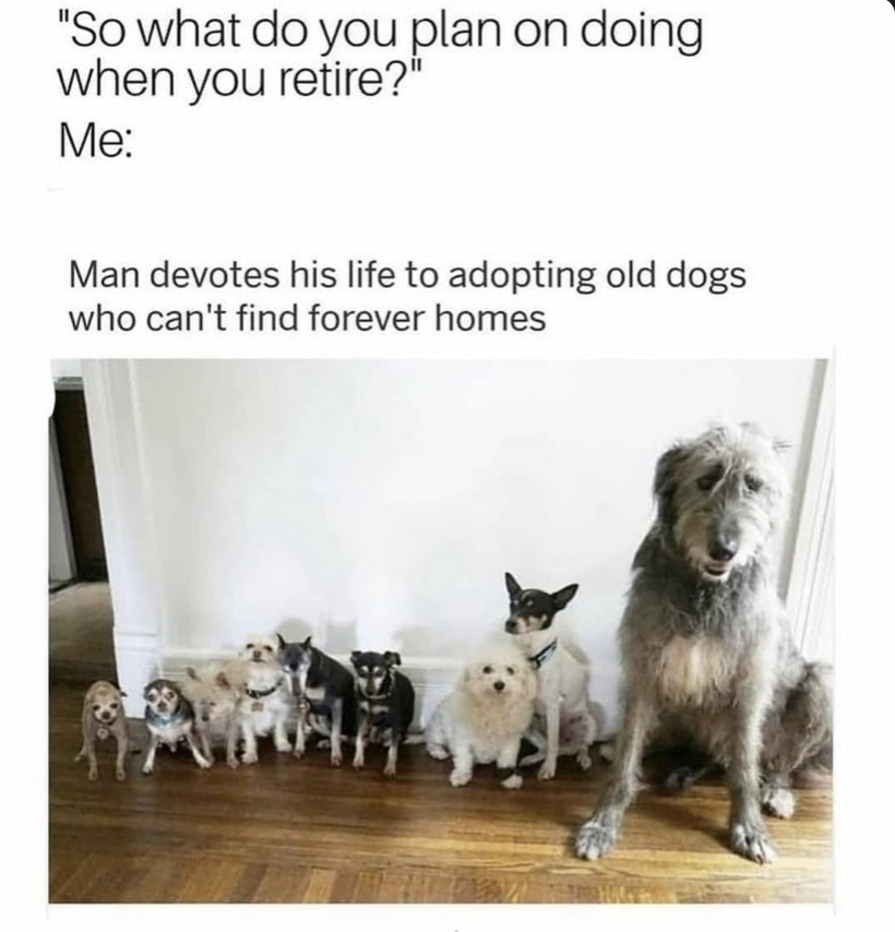 The perfect retirement - meme