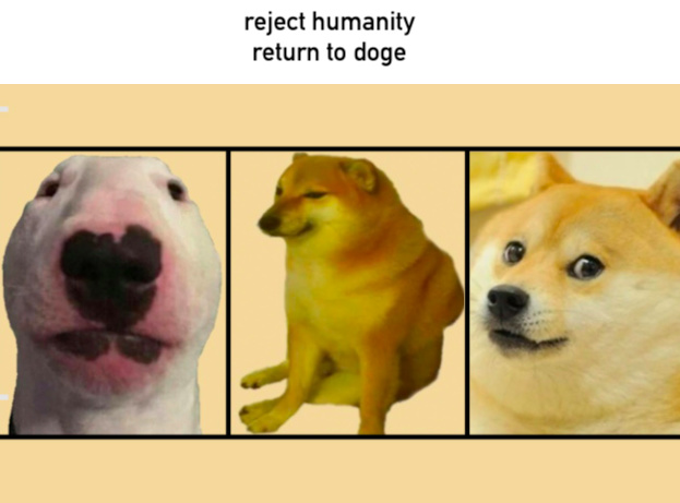 return to doge - meme