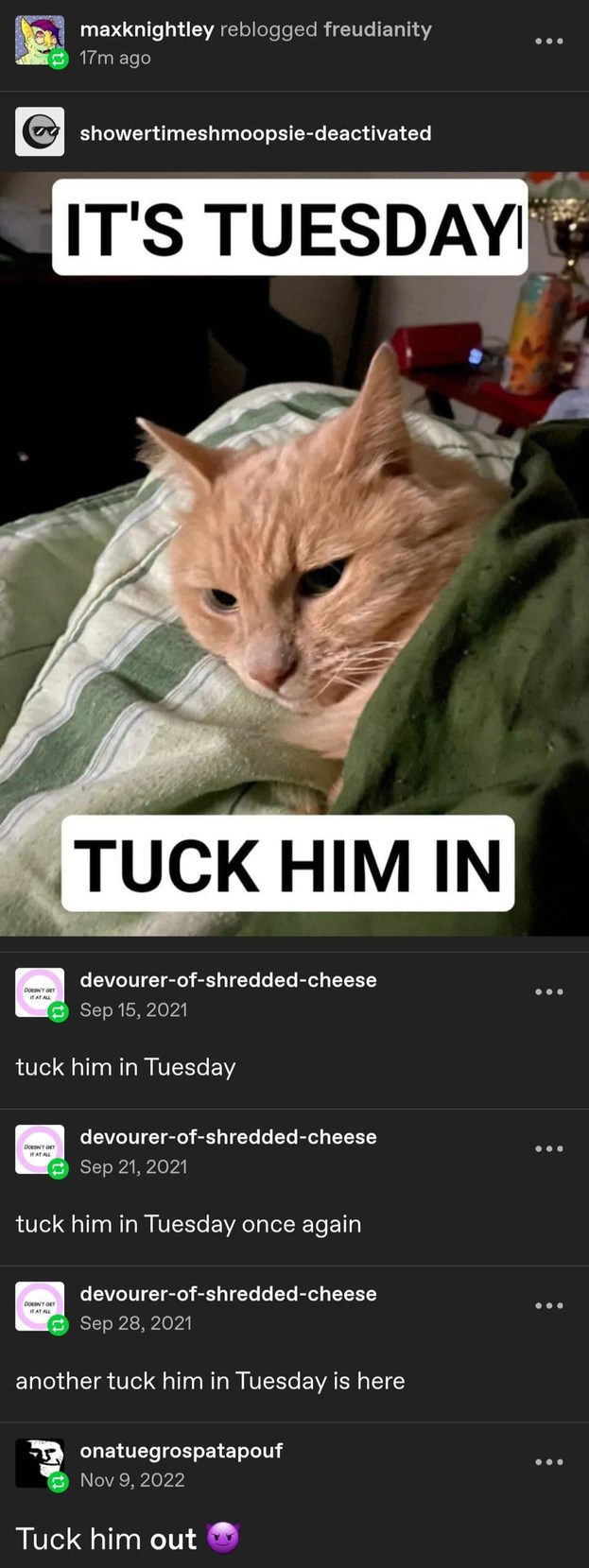 It’s Tuesday tuck him in you fools - meme
