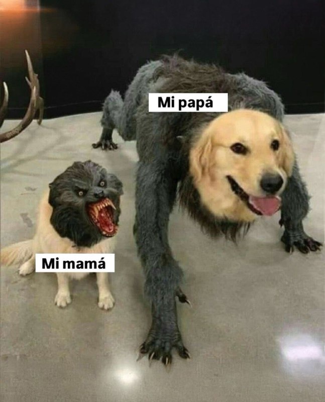 Papá vs Mamá - meme