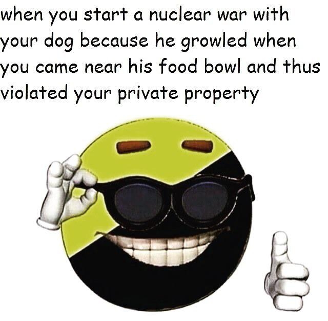 Anarcho-Capitalism - meme