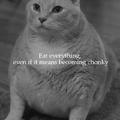 Just be chonky