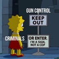 all gun laws are illegal