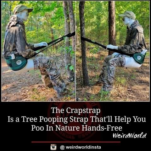 Im sure you can do more than just poop w/ this here set up... - meme