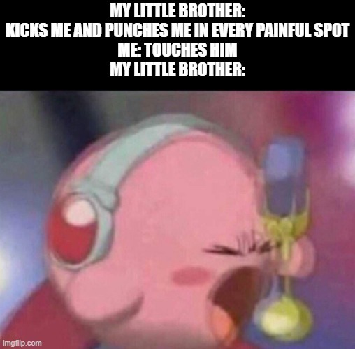 lil brother always crying - meme