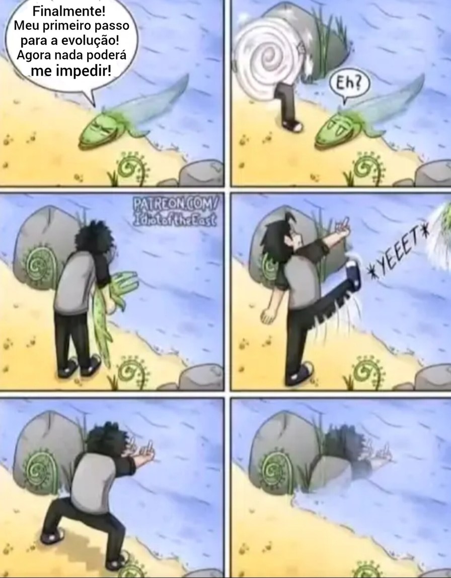 Evolução - meme