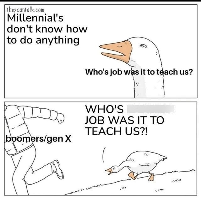 Millennials don’t know anything cause no one taught us - meme