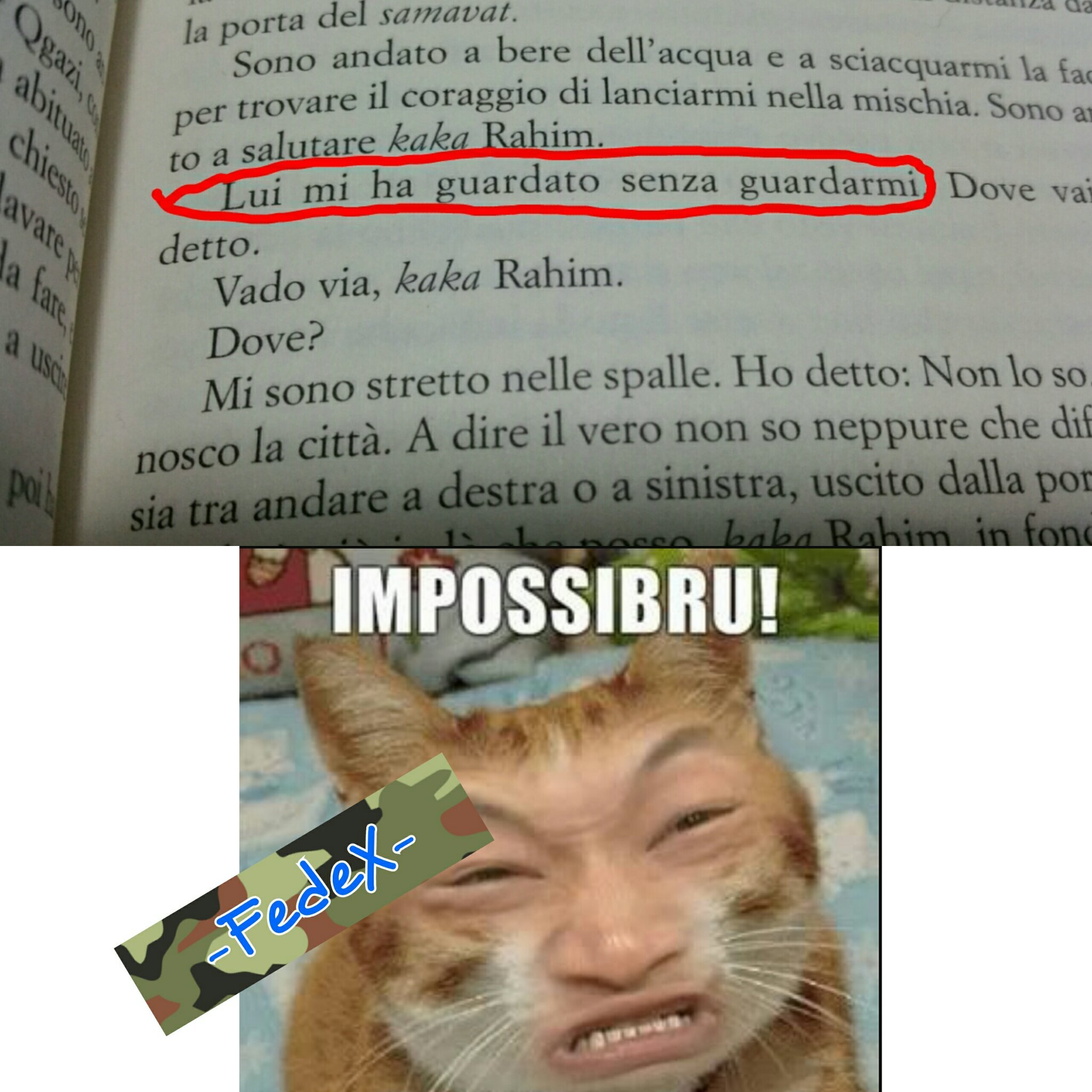 IMPOSSIBRU - meme
