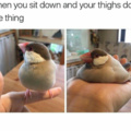 Thight cockie