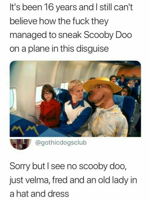 Scoby is on the picture? Waaat? - meme