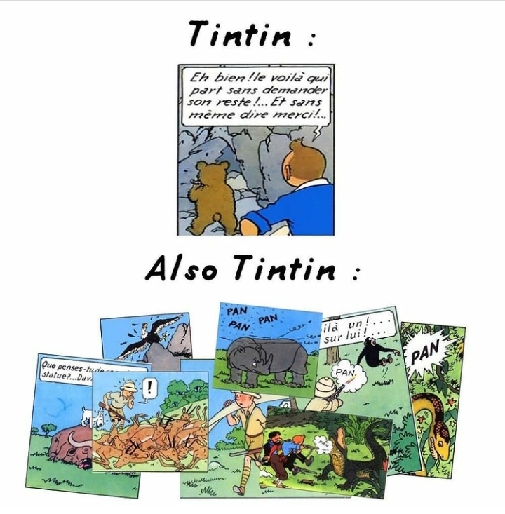 Tintin : ce baiseur de daronne - meme