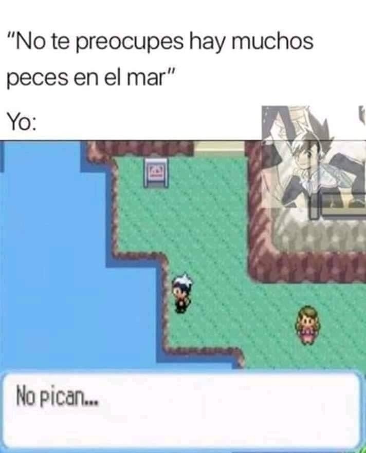 Momo de Pokemon - meme