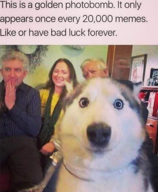 I wish you will not have a bad luck. - meme