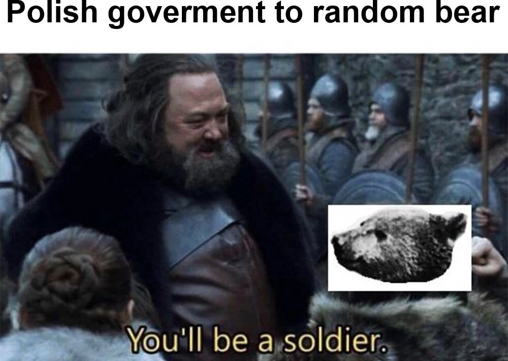 Polish bear soldiers - meme